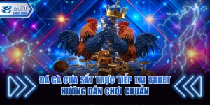 Đá gà cựa sắt